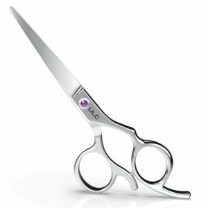 cutting scissors haircut shears